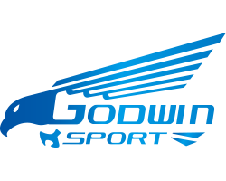 GogWin Logo